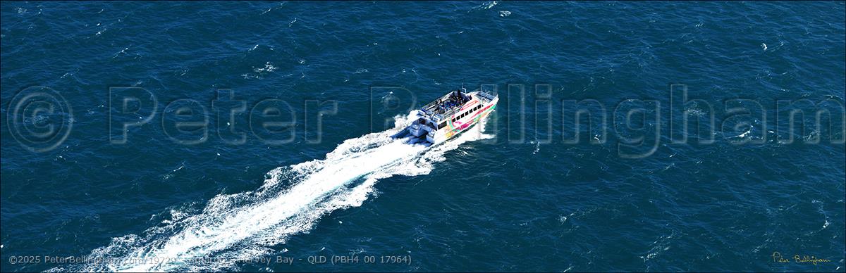Peter Bellingham Photography Amaroo - Hervey Bay - QLD (PBH4 00 17964)